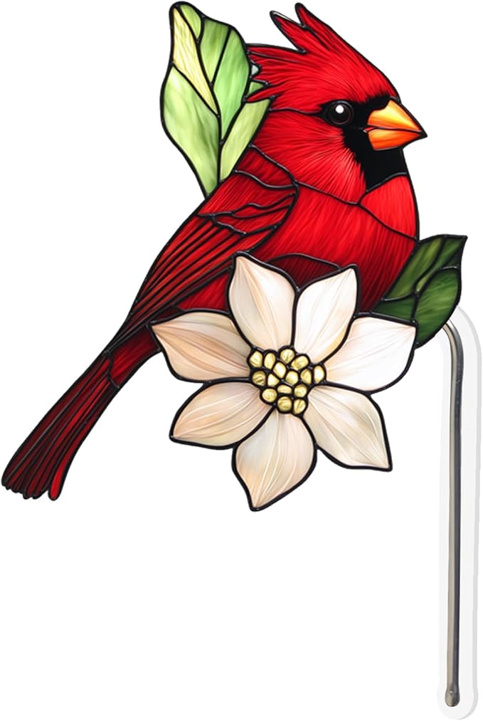 Hanging Planters for Indoor Outdoor Plants – Hummingbird Design Hanging Plant Pots, Rustic Farmhouse Garden Decor for Porch Balcony Yard, Decorative Flower Baskets & Unique Gifts for Mom (10)