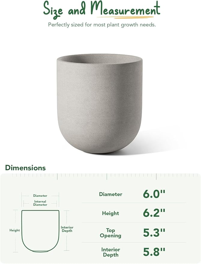 LE TAUCI 6 Inch Plant Pot, Ceramic Pot with Drainage Hole & Rubber Plug, Indoor Planter for Herbs & Small Houseplants, Cylinder Planter for Home Office, Neutral Gray
