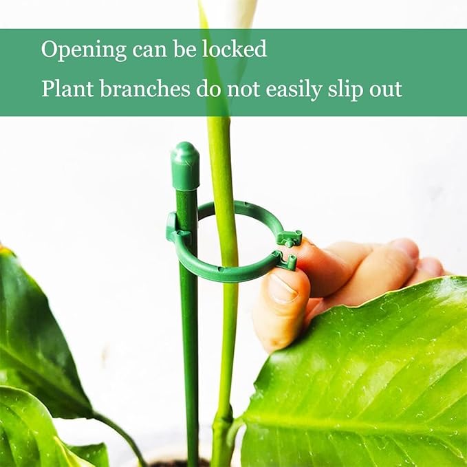 Belit 8 Pack Small Plant Support Plant Stakes, Adjustable Garden Single Stem Support Stake, Planter Support Ring for Orchid, Rose, Peony, Peppers and More, DIY 31.5 inch