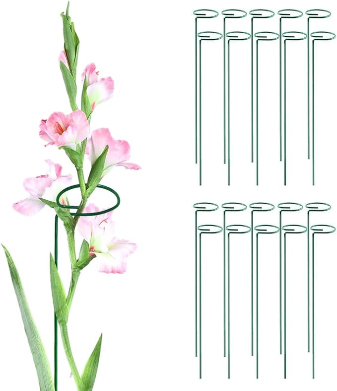 Green 24 inch Single Stem Plant Stakes Flower Support Rings, Pack of 20,Gardening Planter Cages for Single Stem Flowers, Amaryllis, Peony, Lily,Narcissus