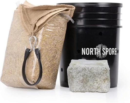 North Spore 'MushBucket' Italian Oyster Mushroom Bucket Grow Kit | Grow Mushrooms | Organic Mushroom Grow Kit