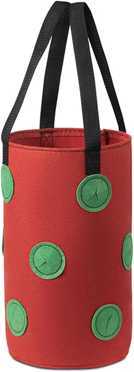 2 Pcs Hanging Planter Bags 9.84 * 11.81 Inch Non Woven Grow Bags 3 Gallons with 12 Holes Vertical Mounted Planting Bag Indoor Outdoor for Flower Strawberry Vegetable Tomato Potato (Red-Green)