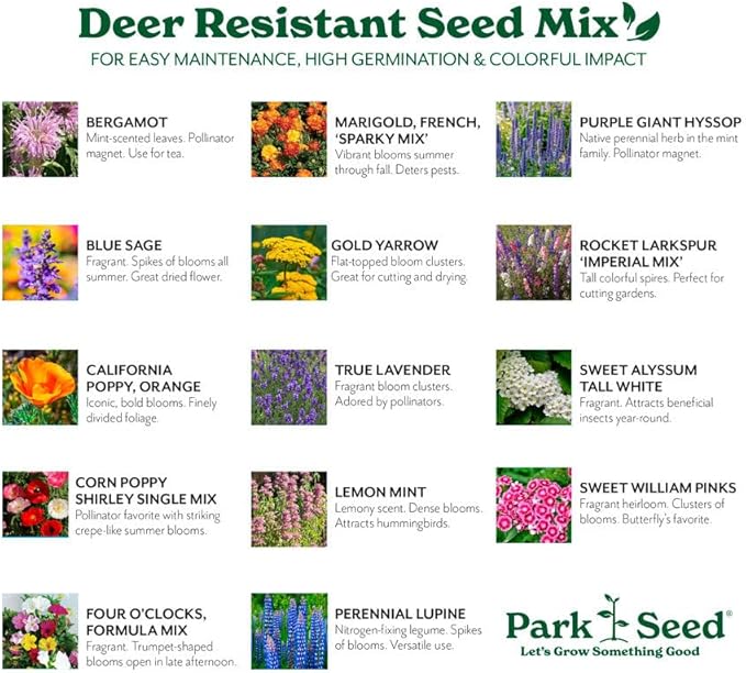 Park Seed Grow Your Own Vibrant Annual and Perennial Wildflower Garden Seed Mixture, Easy to Grow Varieties for Pollinators and Spring Gardens - Deer Resistant Mix, 1 lb