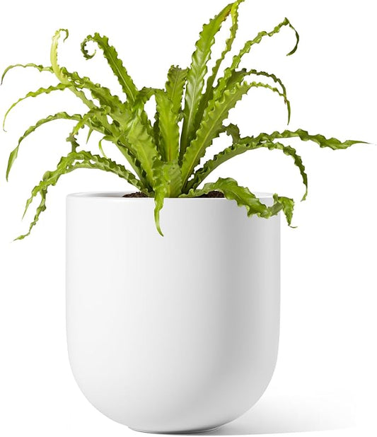 LE TAUCI 6 Inch Plant Pot, Ceramic Pot with Drainage Hole & Rubber Plug, Indoor Planter for Herbs & Small Houseplants, Cylinder Planter for Home Office, White
