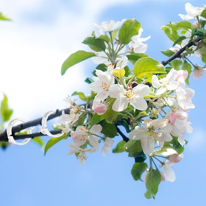 Secured Plastic Plant Clip, 2025 Upgrade Plant Support Clips Reusable Garden Clips, Garden Clips for Climbing Plants, Plastic Trellis Clips Tomato Grape Vine Vegetables Plant Fixing Clips (100, Black)