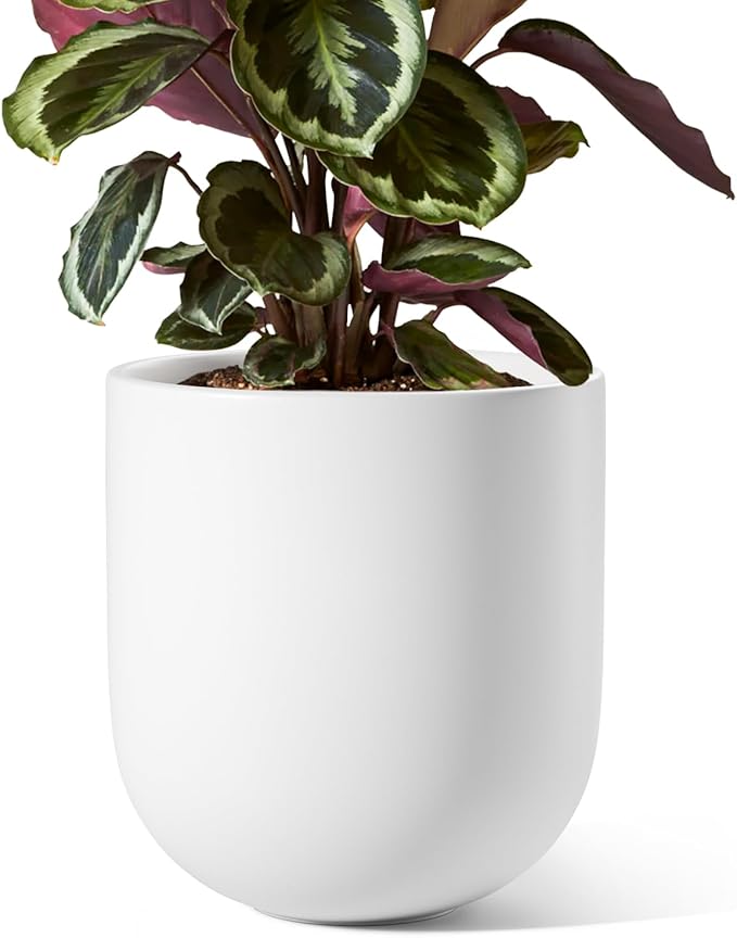 LE TAUCI 8 Inch Plant Pot, Ceramic Pot with Drainage Hole & Rubber Plug, Indoor Planter for Herbs & Small Houseplants, Cylinder Planter for Home Office, White