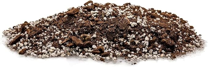 GARDENERA Palm Tree Potting Mix - The Ultimate Soil for Strong and Healthy Palms - Top Choice for Palm Tree Growers [1 Quart Bag]