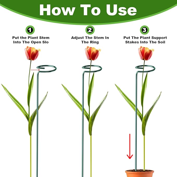 24 Pack Plant Support Stakes, 16 Inch Metal Garden Plant Stakes Single Stem Support Rings for Indoor Outdoor Amaryllis, Flowers Orchid, Lily, Peony, Rose, Tomato, Monstera, Narcissus