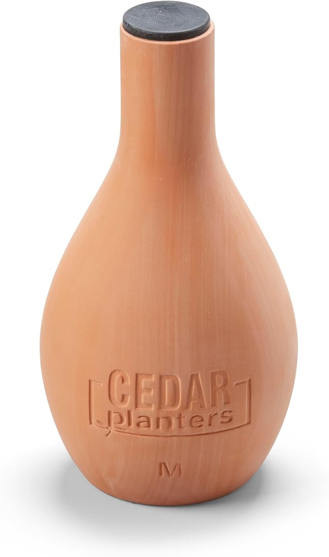 EARTH ELEVATED Self-Watering Clay Olla Pot for Raised Garden Beds and Planters (Medium)