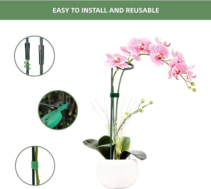2 Pack Plant Support Sticks, 3 Sizes (12 or 24 or 36 inch) Garden Plant Stake, Plant Support Rings for Indoor Outdoor with Plants Ties, Plants Stakes for Flowers, Climbing Plants, Tomatoes