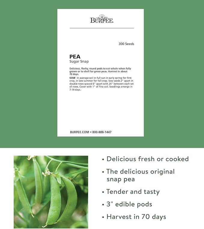 Burpee Sugar Snap Pea Seeds 300 seeds