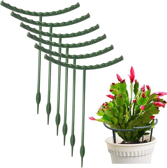 Mwellewm 10 Pack Plant Support Plant Stakes Metal Half Round Search Support Ring Small Plastic Cage Holder Short Stem Flower Pot Climbing Trellis for House Flower Vegetable Indoor Leafy(5.7 x 5.9nch)