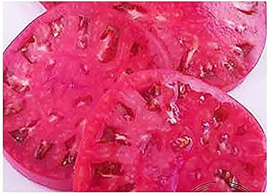 Watermelon Beefsteak Tomato Seeds - Large Tomatos - Delicious Tomato for Home Growing