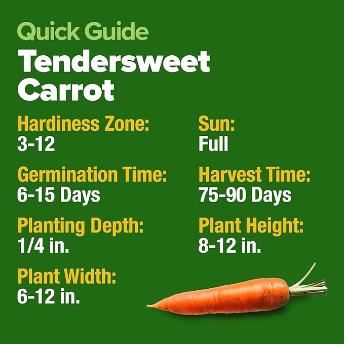 HOME GROWN Tendersweet Carrots Seeds 1 Pack - 3000 Non-GMO Heirloom Carrot Seeds for Planting Outdoors (Daucus carota subsp. sativus)