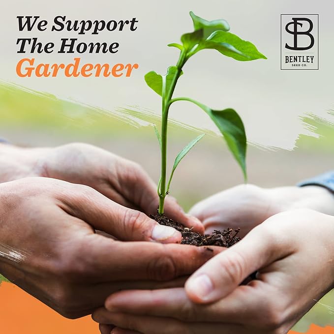 Vegetable and Herb Seeds Variety Pack for Home Garden Planting, AB