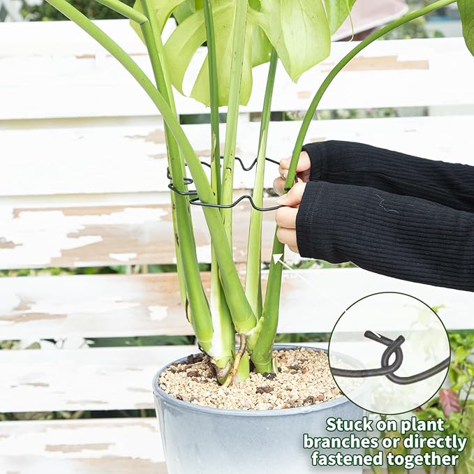 Monstera Plant Stem Support Set of 5 - Durable Stabilizers for Monstera and Climbing Plants - Ideal for Plant Lovers and Garden Care