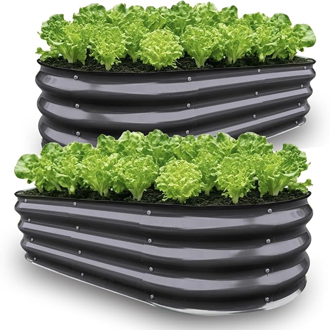 GrowHaus 2 Pack 4x2x1FT Galvanized Raised Garden Bed, Planter Boxes Outdoor Metal Garden Beds for Planting Vegetables Flowers Herbs Dark Gray