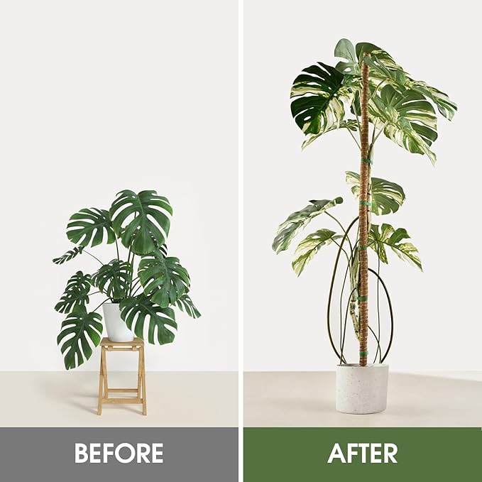 2 Pack Moss Pole, 48 Inch Bendable Moss Poles for Plants Monstera for Climbing Plants, Handmade Coco Coir Pole Plant Sticks Support Stakes for Indoor Plants to Grow Upwards