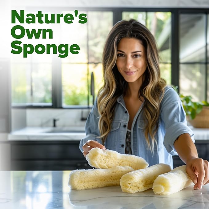 HOME GROWN Non GMO Luffa Seeds (Luffa aegyptiaca) 40 Heirloom Loofah Gourd Seeds for Planting High Germination Rate - Make Sponges or Harvest Young Loofahs for Eating