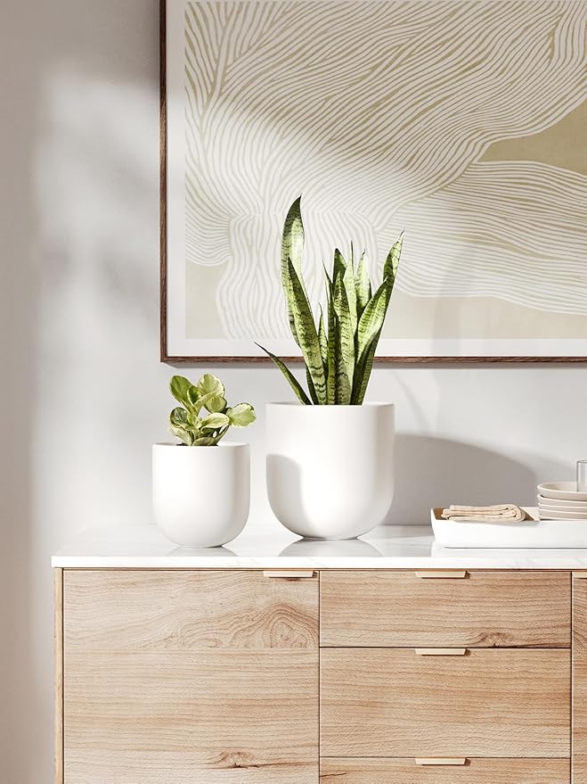 LE TAUCI 8 Inch Plant Pot, Ceramic Pot with Drainage Hole & Rubber Plug, Indoor Planter for Herbs & Small Houseplants, Cylinder Planter for Home Office, White