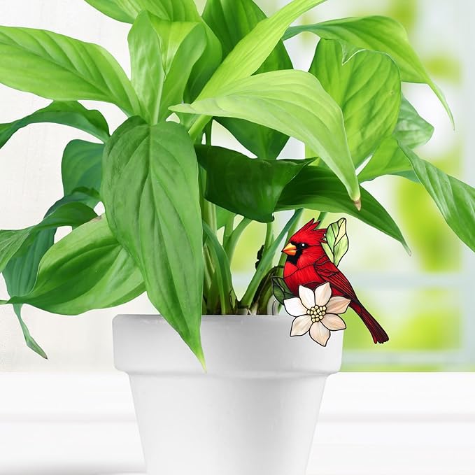 Hanging Planters for Indoor Outdoor Plants – Hummingbird Design Hanging Plant Pots, Rustic Farmhouse Garden Decor for Porch Balcony Yard, Decorative Flower Baskets & Unique Gifts for Mom (10)