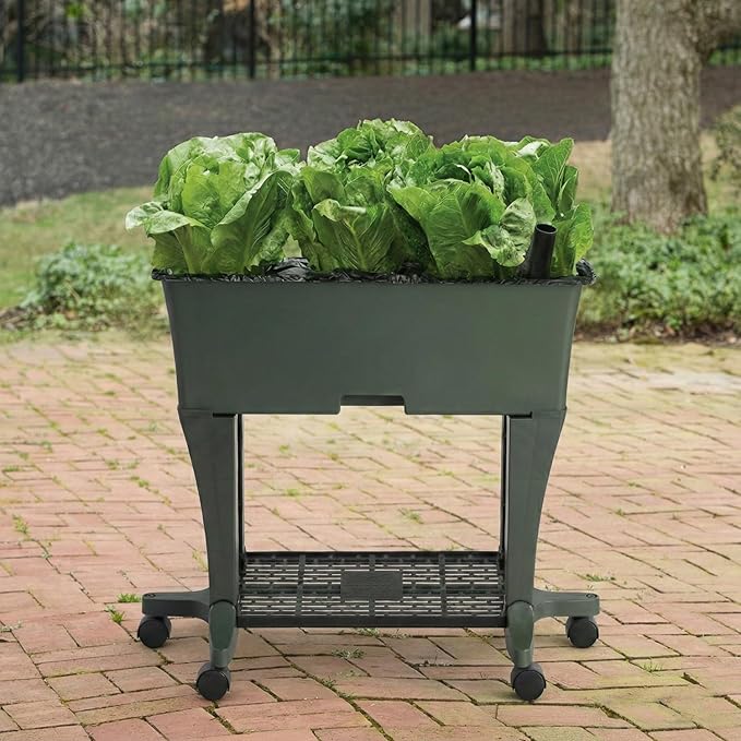 EarthBox Raised Garden Bed with Legs – Elevated Self Watering Planter Box with Wheels, Storage Shelf, Premium Plant Food, Easy Assembly, Made in USA, Dark Green
