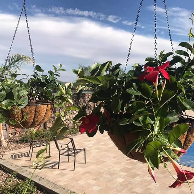 14 inch Metal Hanging Baskets For Plants Outdoor 4 Pack Round Metal Wire Hanging Basket Planter with Coco Fiber Liners Chain Round Wire Plant Holder for Garden, Patio, Deck, Porch Plants Flower Potss