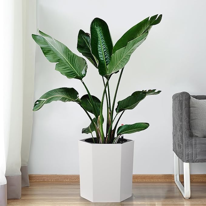 16" Tall Planters Set of 2, Large Outdoor & Indoor Self-Watering Pots with Water Level Monitor, Drainage Hole & Wheels, Planter Pots for Garden, Patio, Balcony, Lounge - White