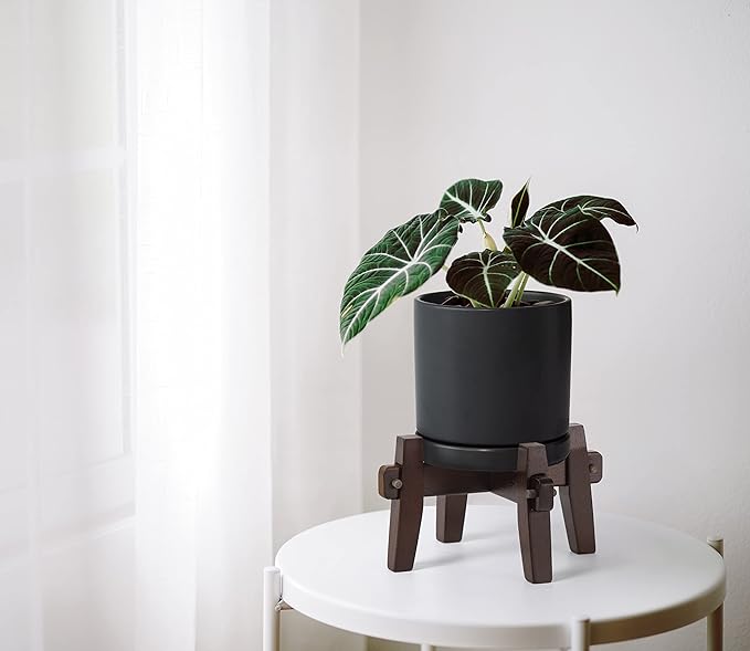 D'vine Dev Ceramic Planter with Wood Stand - 6 Inch Mid Century Modern Cylinder Plant Pot Set for Indoor Plants & Flowers, Black, 55-A-Z-2