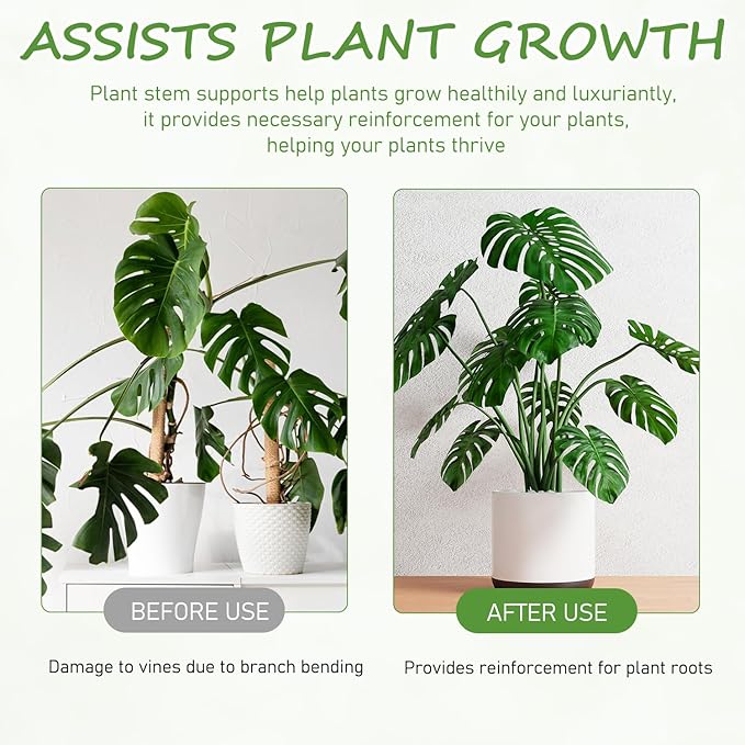 4-Pack Plant Stem Support, Plant Stabilizer for Indoor Plants, Monstera Plant Support System, Plant Stem Holder for Fixing Green Plants and Vines (B)