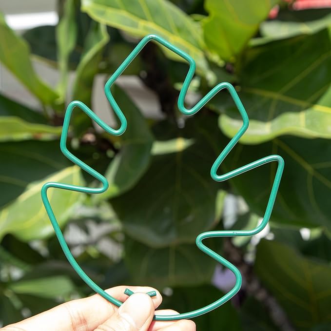Monstera Plant Stem Support, 5-Pack Durable Indoor Stabilizer for Climbing Plants, 5.5x4.7 Inches Leaf Holder, for Plant Lovers, Enhance Your Indoor Garden