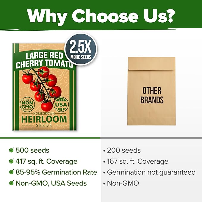 HOME GROWN Large Red Cherry Tomato Seeds Pack 500 High Germination Heirloom Seeds Vegetable Seeds for Garden,Homestead & Self-Sufficient Growing(Solanum lycopersicum)