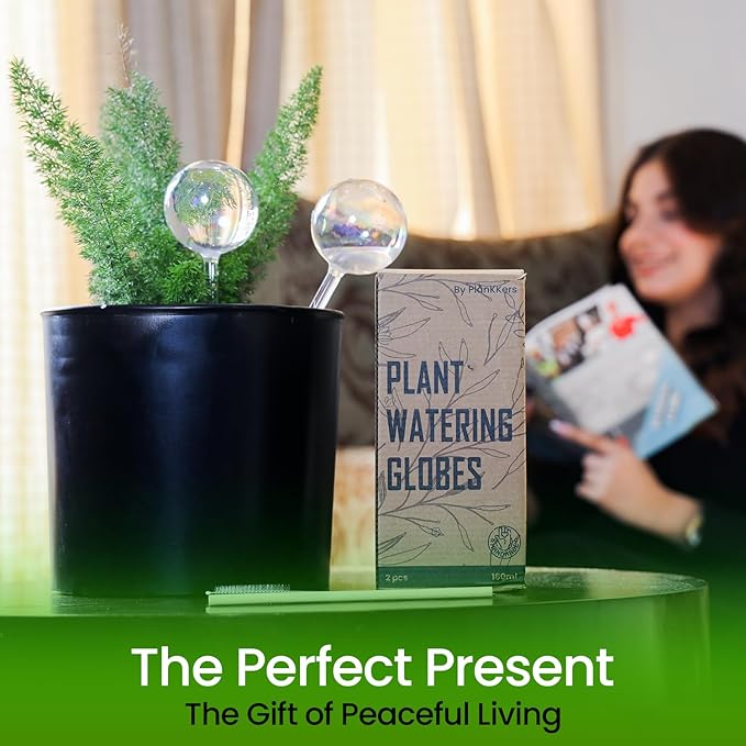 Iridescent Self Watering Globes, Glass Rainbow Plant Watering Globes, Self Watering Planter Insert, Automatic Plant Waterer Indoor (Medium-2 Pcs Iridescent, Medium)