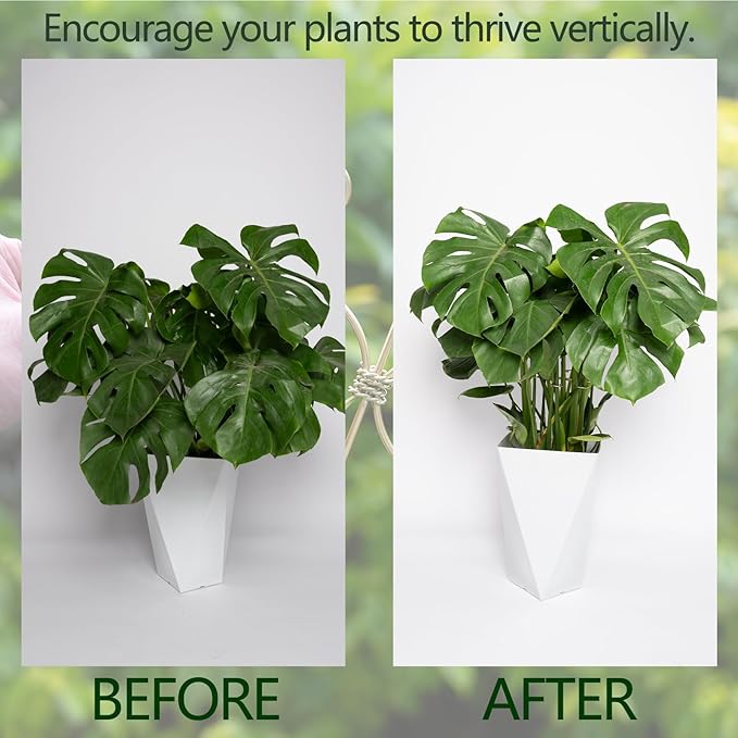 Goooxim 5PCS Monstera Plant Stem Support Hook - 6.5 * 6.5IN Durable Metal Stem Stabilizer for Monstera Plants and Fishbone Cactus - Gentle Protection Leaf Holder - Easy Installation - 5 Piece Set
