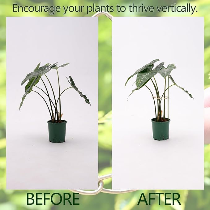 GOOOXIM 5.5 * 4.7IN Monstera Stem Support Stake with Clips - 5Pcs Durable Climbing Plant Support for Monstera, Fishbone Cactus, Easy Installation, for Plant Lovers