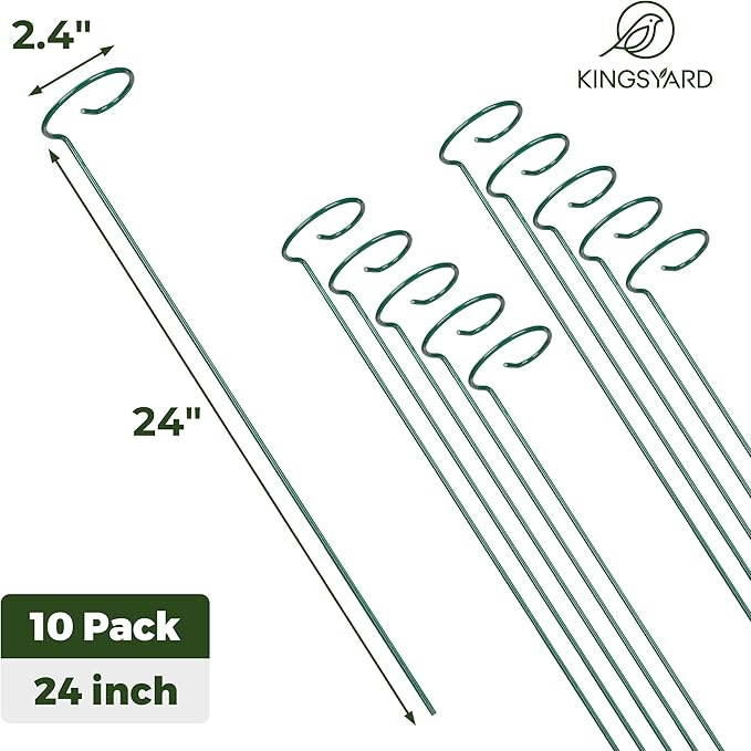 Kingsyard 24 Inch Plant Support Stake - 10 Pack, 4.5mm Thick All Metal Garden Plant Stakes Plant Prop for Single Stem Flowers Dahlia Amaryllis Orchid Lily Rose Peony Tomatoes Gladiolus