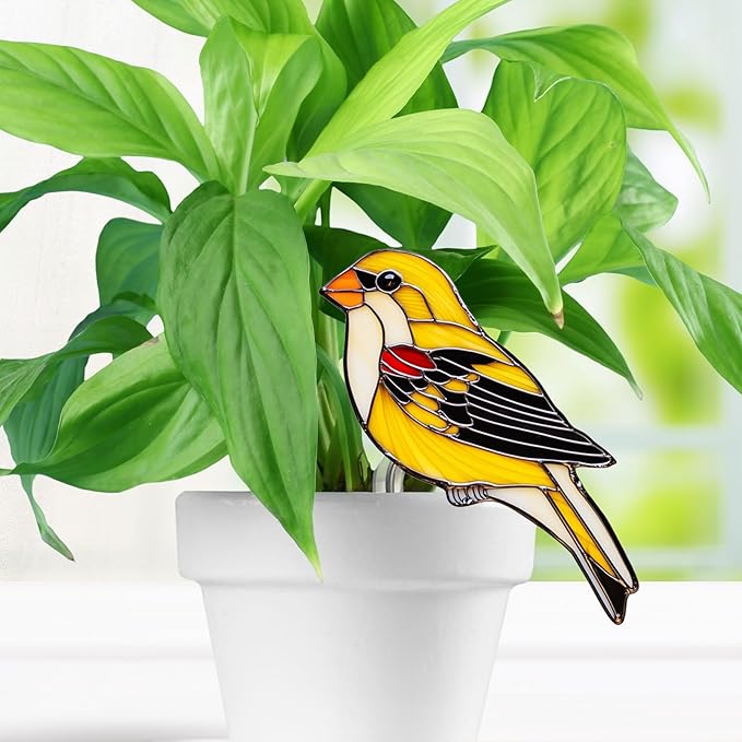 Colorful Acrylic Bird & Butterfly Garden Stakes - Potted Plant Decorative Signs, Outdoor Lawn, Patio & Pathway Art Ornaments for Yard Decoration, Multi-Colored (15)