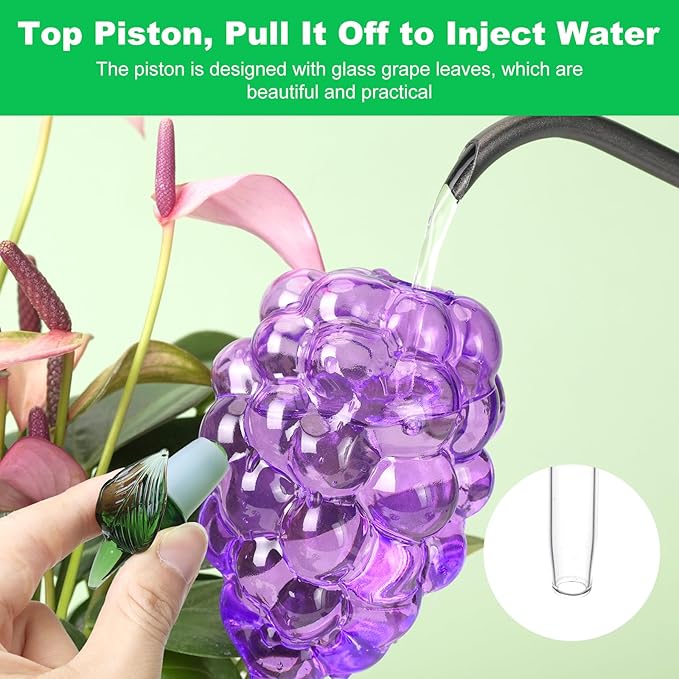 Plant Watering Globes, Grape Shape Self Watering Globes, Plant Watering Devices, 3PCS Purple+Green Color Clear Glass Bulbs Self Watering Planter Insert