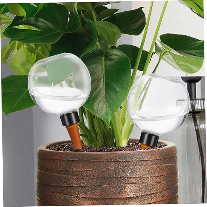 6Pcs Self Watering Globes Automatic Plant Waterer with Transparent Bulbs Plant Watering Device for Indoor Outdoor Potted Plants