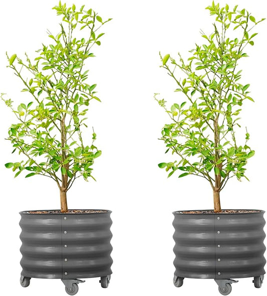 Rolling Metal Citrus Tree Planter Pot, 21″ Round Planter Box for Porch Patio & Backyard, 20 Gallon Large Planter Pot with Wheels for Growing Trees Tomatoes Vegetables and Flowers, 2 Pack Modern Gray