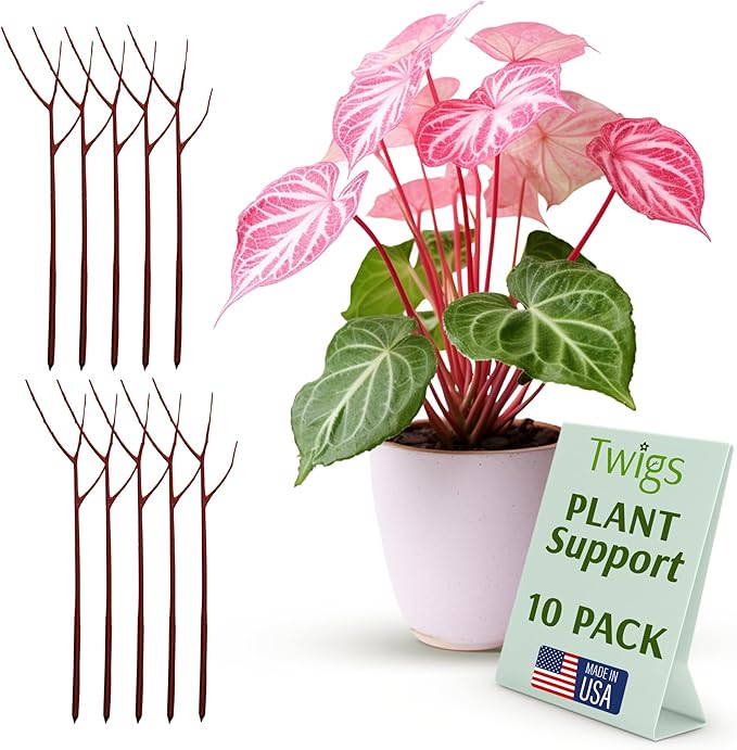 Twigs GA - Plant Support Stakes for Indoor & Outdoor Use, Durable Trellis Alternative for Climbing & Potted Plants, Houseplant Stem Holder Structures - Begonia Red, 10 Pack, 22" L, Original