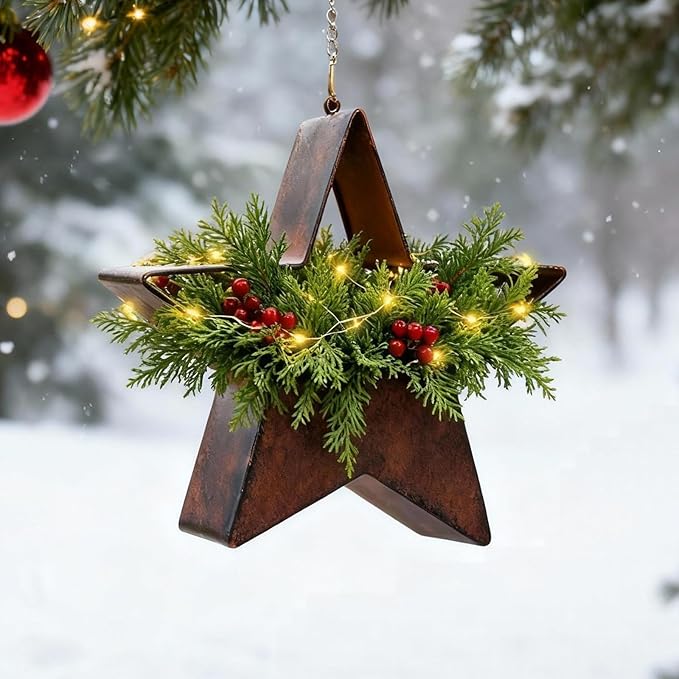 Metal Plant Hangers Indoor and Outdoor: Valentines Day Gifts for Her Wife Women Mom Garden Lovers Birthday - Star Shape Hanging Planters for Window Wall Living Room Office Decor(Rustic)