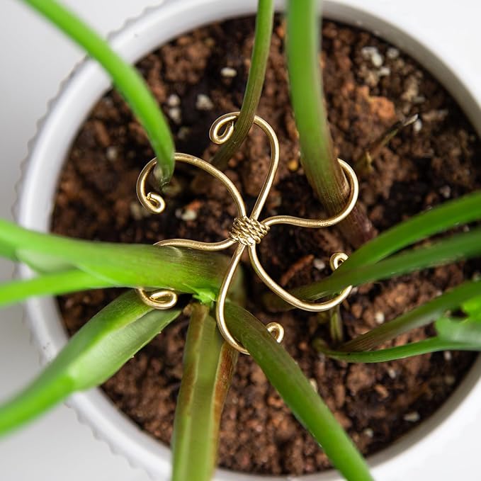 Goooxim 5Pcs Monstera Plant Stem Support Hook (2.75x2.75 inches) - Durable Metal Stem Support for Monstera & Fishbone Cactus, Easy Installation, Ideal Gift for Plant Lovers & Home Decor