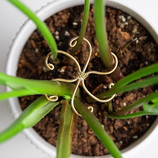 Goooxim 5Pcs Monstera Plant Stem Support Hook (2.75x2.75 inches) - Durable Metal Stem Support for Monstera & Fishbone Cactus, Easy Installation, Ideal Gift for Plant Lovers & Home Decor
