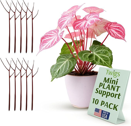 Twigs GA - Mini Twigs Plant Support Stakes for Small Plants, Indoor & Outdoor Use, Gardening Supplies, Garden Accessories, Trellis & Ring Alternative, Made in USA - Begonia (Red), 10 Pack, 12" L
