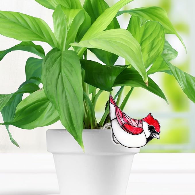 Hanging Planters for Indoor Outdoor Plants – Hummingbird Design Hanging Plant Pots, Rustic Farmhouse Garden Decor for Porch Balcony Yard, Decorative Flower Baskets & Unique Gifts for Mom (5)