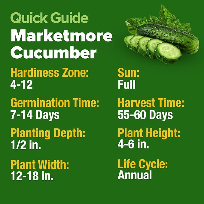 HOME GROWN Non GMO Organic Cucumber Seeds - 200 Marketmore Heirloom Vegetable Seeds for Planting in Trellises, Raised Beds, Containers (Cucumis sativus)