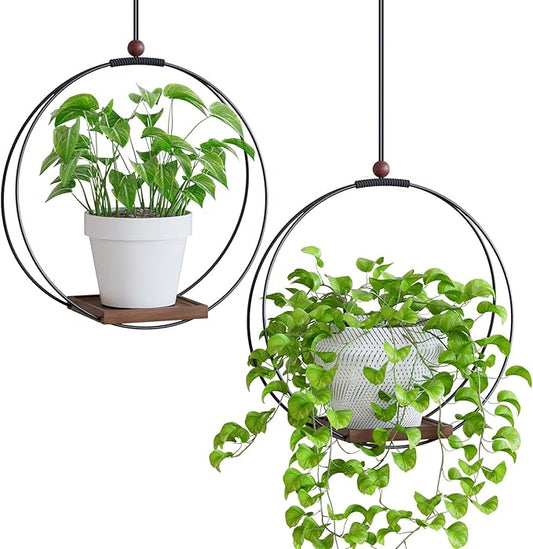 Hanging Planters for Indoor Plants: Macrame Plant Hanger with Sturdy Wood Base, Wall Ceiling Window Decor for Home Garden Patio Office, Housewarming Gift (Pot/Plant Not Included)