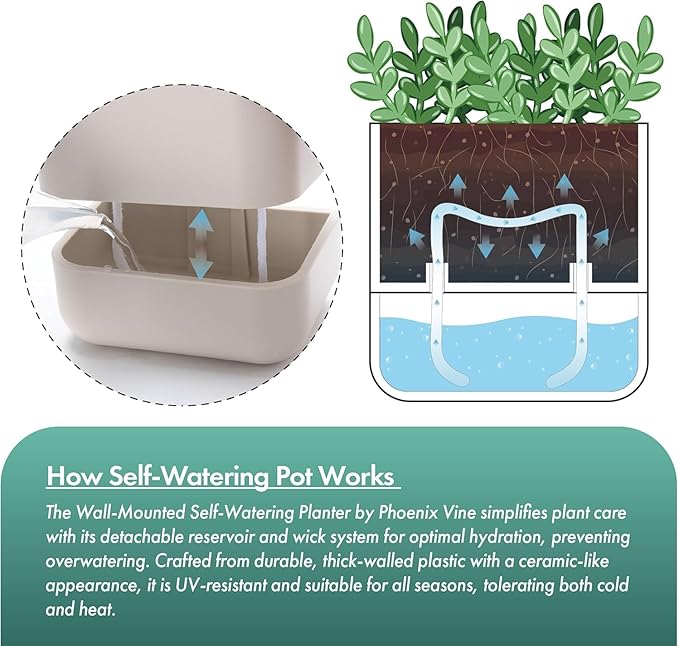 Phoenix Vine 6.5-Inch Wall Mounted Self-Watering Planter Pot for Indoor Houseplants and Herbs | Hanging Planter for Window Sills, Bathroom Walls, Home & Office Décor, Oatmeal, Set of 2, 01-WP-D-2