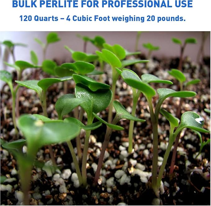 PVP Industries PVP105408 102 Quarts, 4 Cubic Foot of Organic Perlite Planting Soil Additive, White